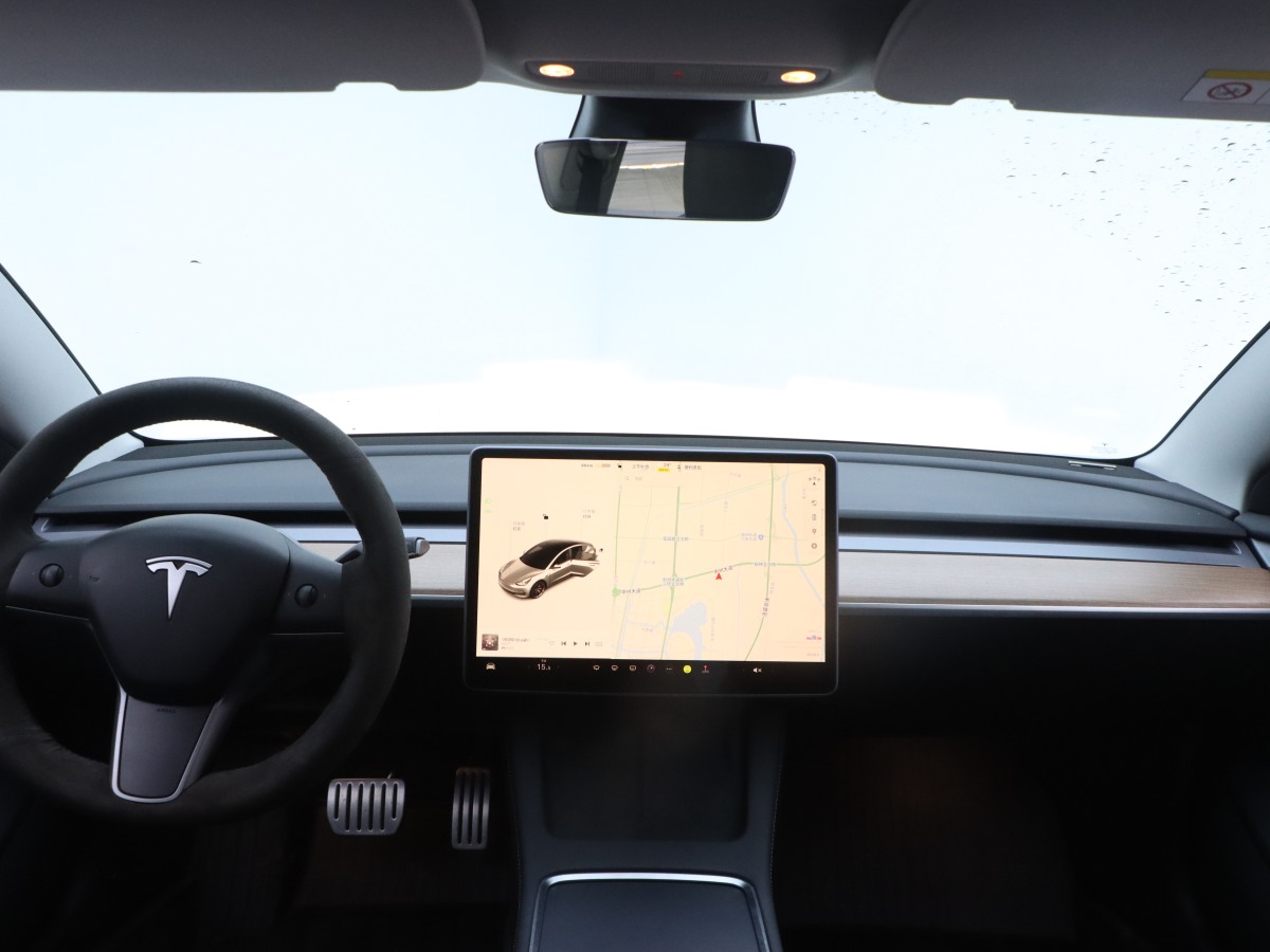 特斯拉 Model 3  2019款 Performance高性能全轮驱动版图片