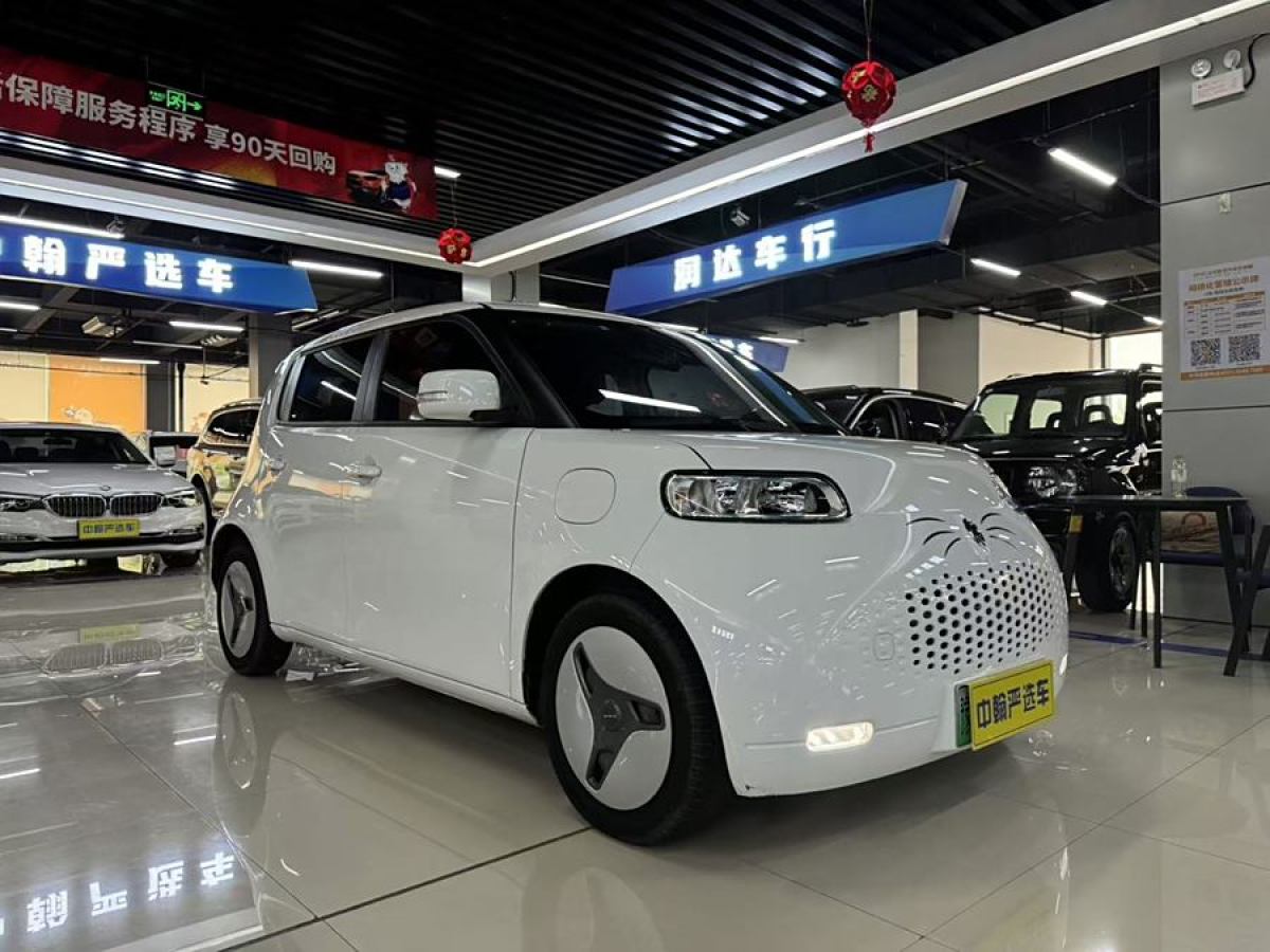 歐拉 歐拉白貓  2020款 360km 豪華型圖片