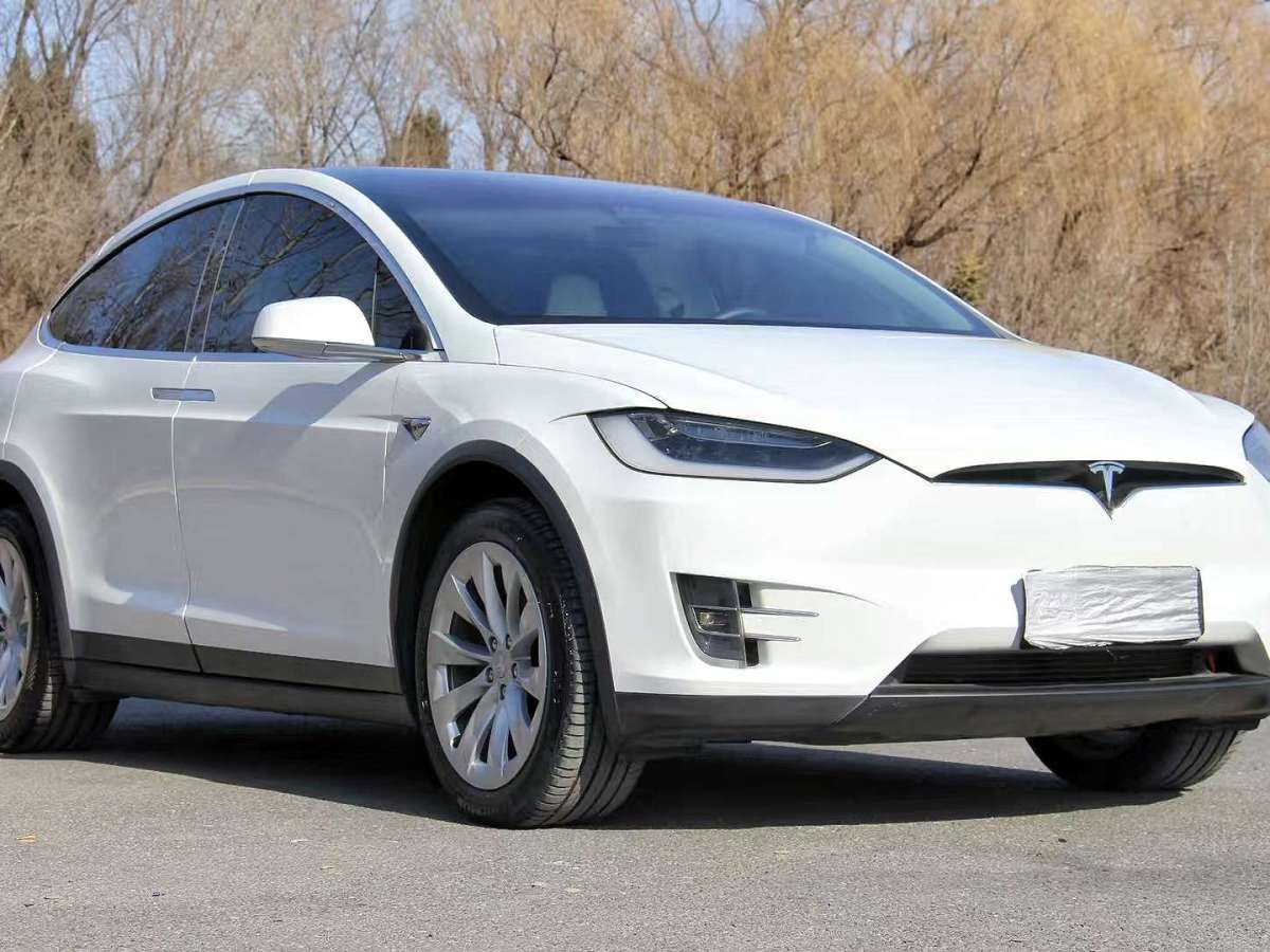 特斯拉 Model X  2017款 Model X 100D 長(zhǎng)續(xù)航版圖片