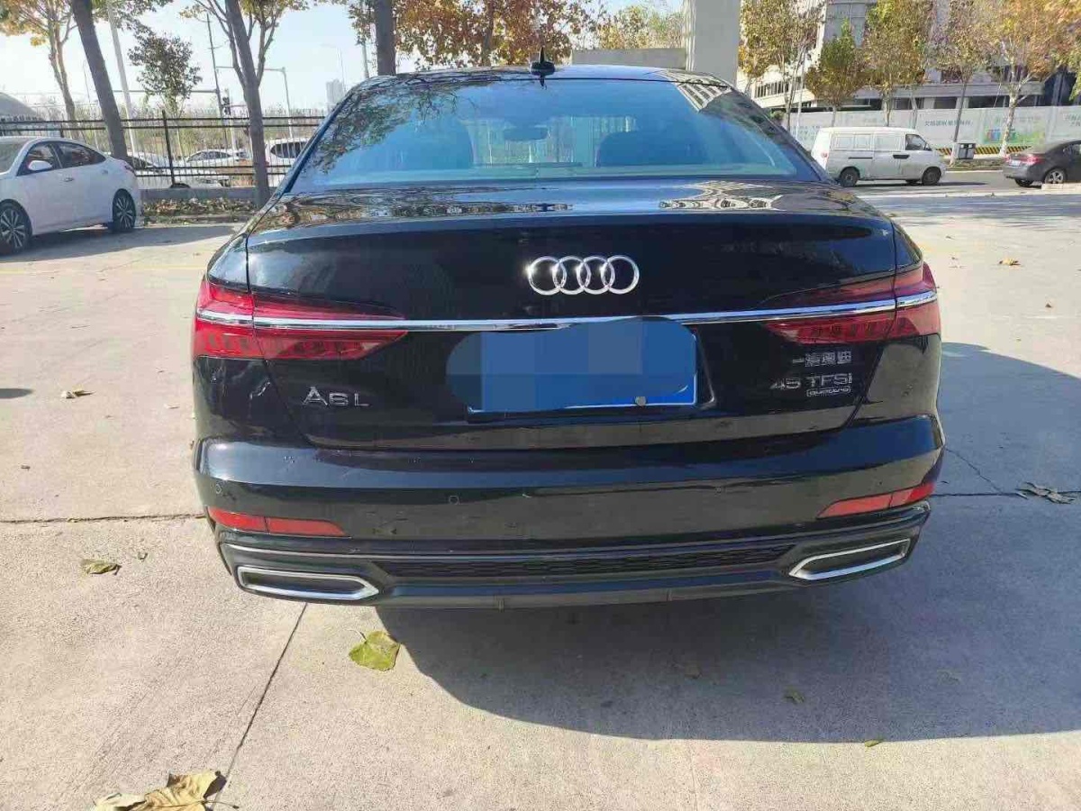 奧迪 奧迪A6L  2022款 45 TFSI 臻選致雅型圖片