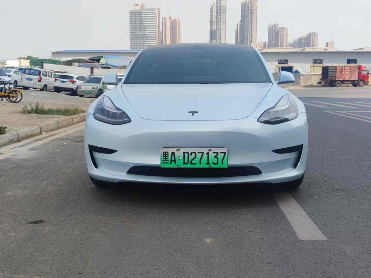 特斯拉 Model 3  2019款 標(biāo)準(zhǔn)續(xù)航后驅(qū)升級(jí)版圖片