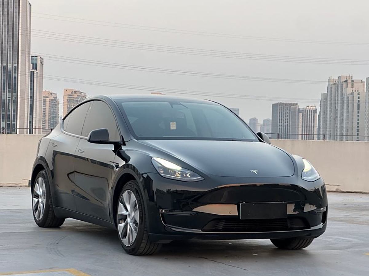 特斯拉 Model 3  2021款 改款 標(biāo)準(zhǔn)續(xù)航后驅(qū)升級(jí)版圖片