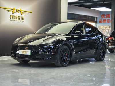 2021年4月 特斯拉 Model Y 長續(xù)航全輪驅(qū)動版 3D7圖片