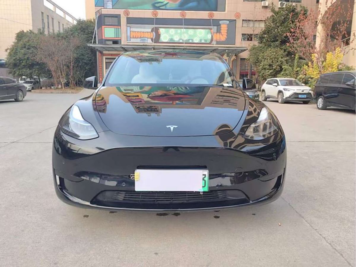 特斯拉 Model 3  2022款 后輪驅(qū)動版圖片