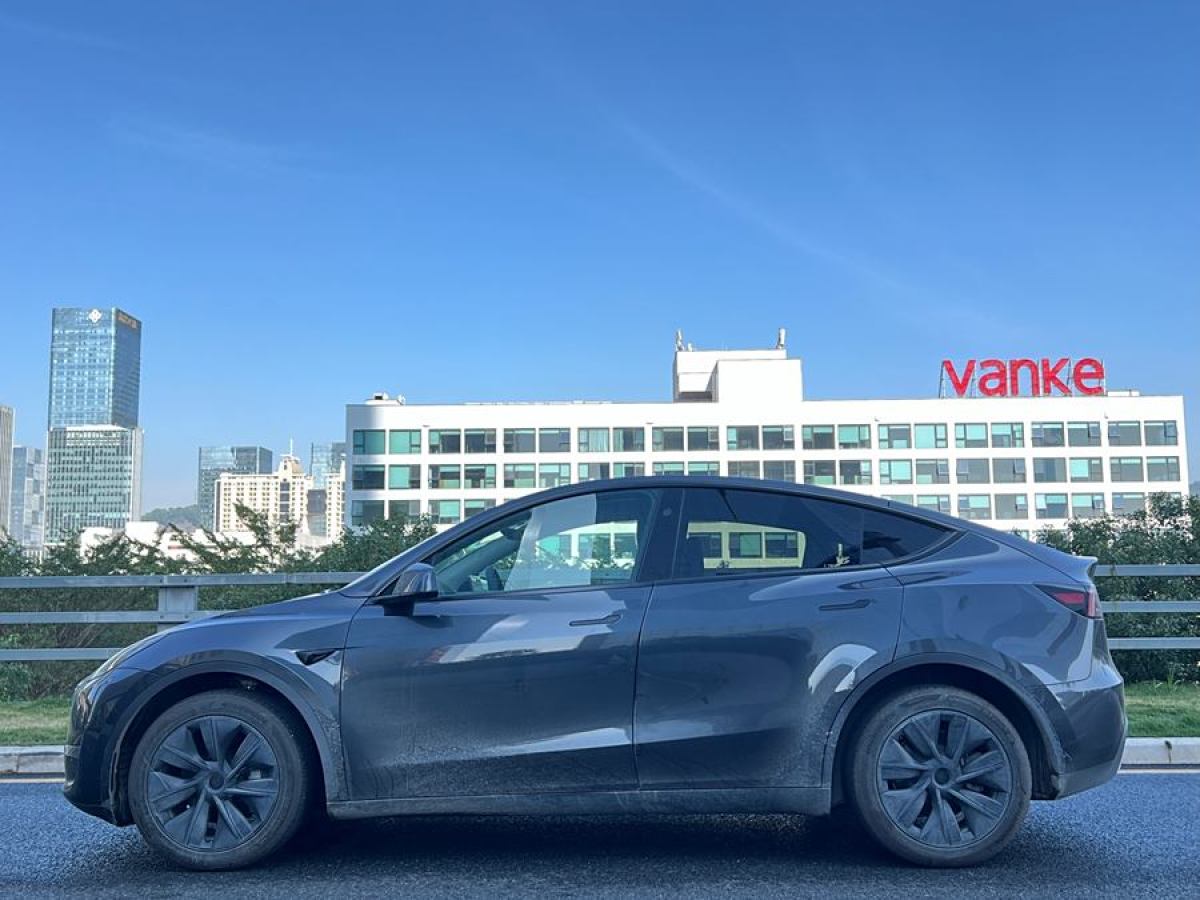 特斯拉 Model Y  2024款 長續(xù)航全輪驅(qū)動版圖片