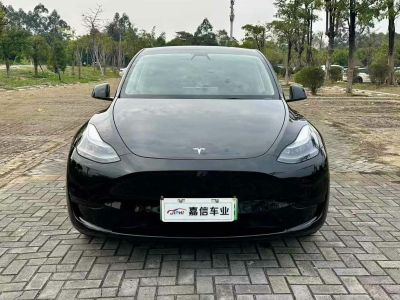 2022年1月 特斯拉 Model 3 Performance高性能全輪驅(qū)動版圖片