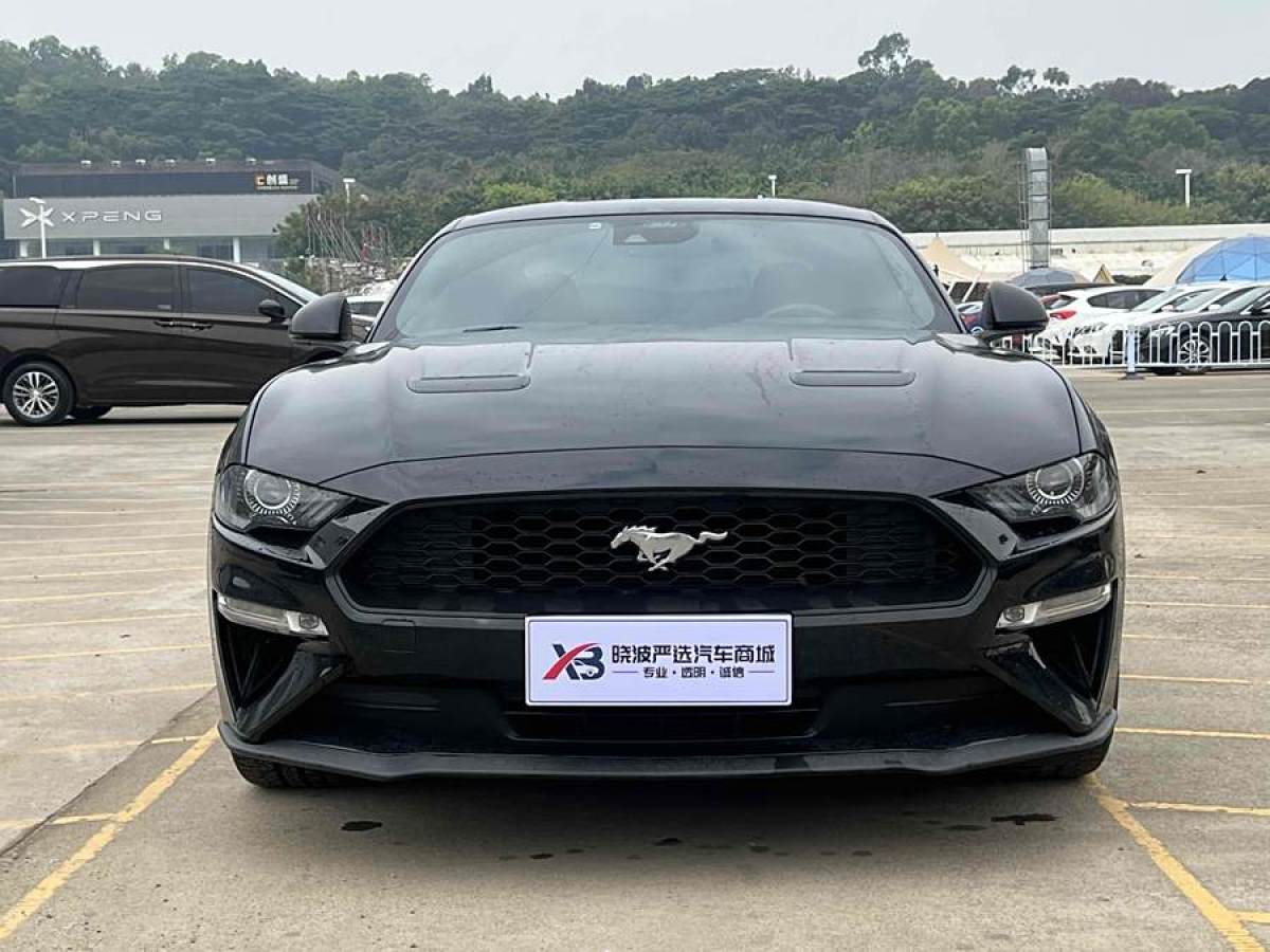 福特 Mustang  2021款 2.3L EcoBoost圖片