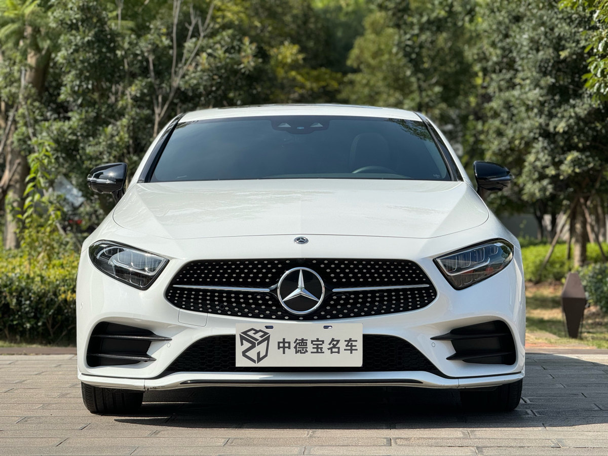 奔驰 奔驰CLS级  2023款 改款 CLS 300 豪华型图片