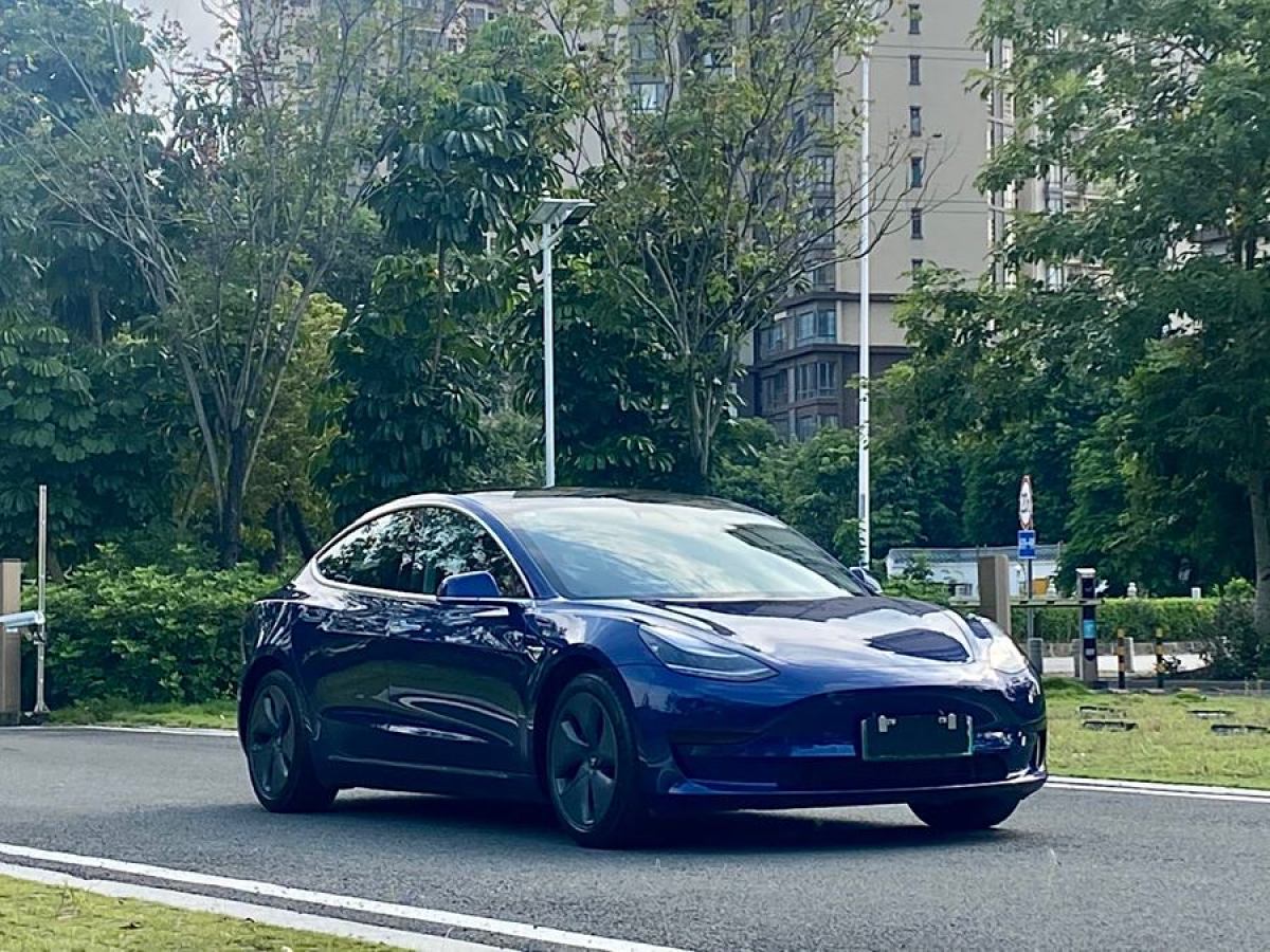 2020年11月特斯拉 Model Y  2020款 改款 標準續(xù)航后驅(qū)升級版