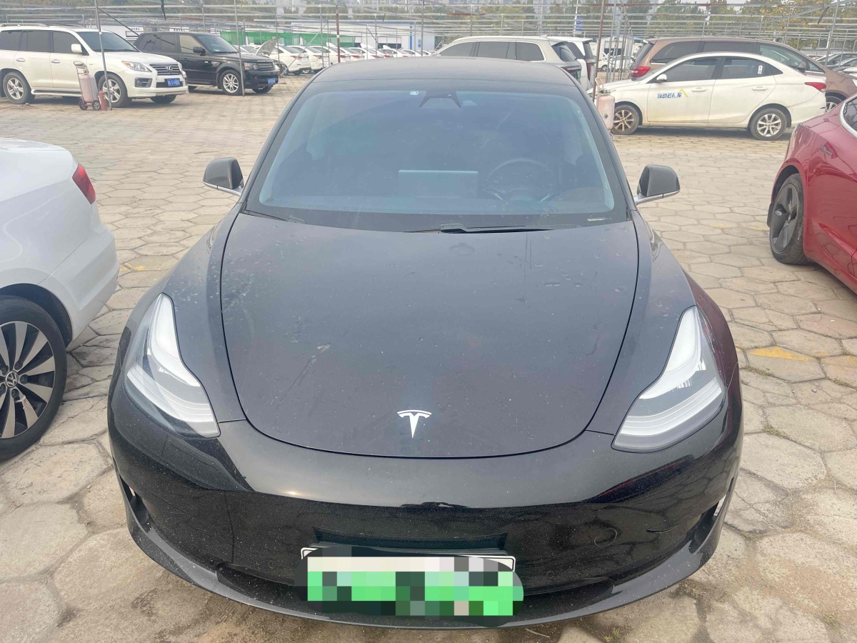 特斯拉 Model 3  2019款 標準續(xù)航后驅升級版圖片