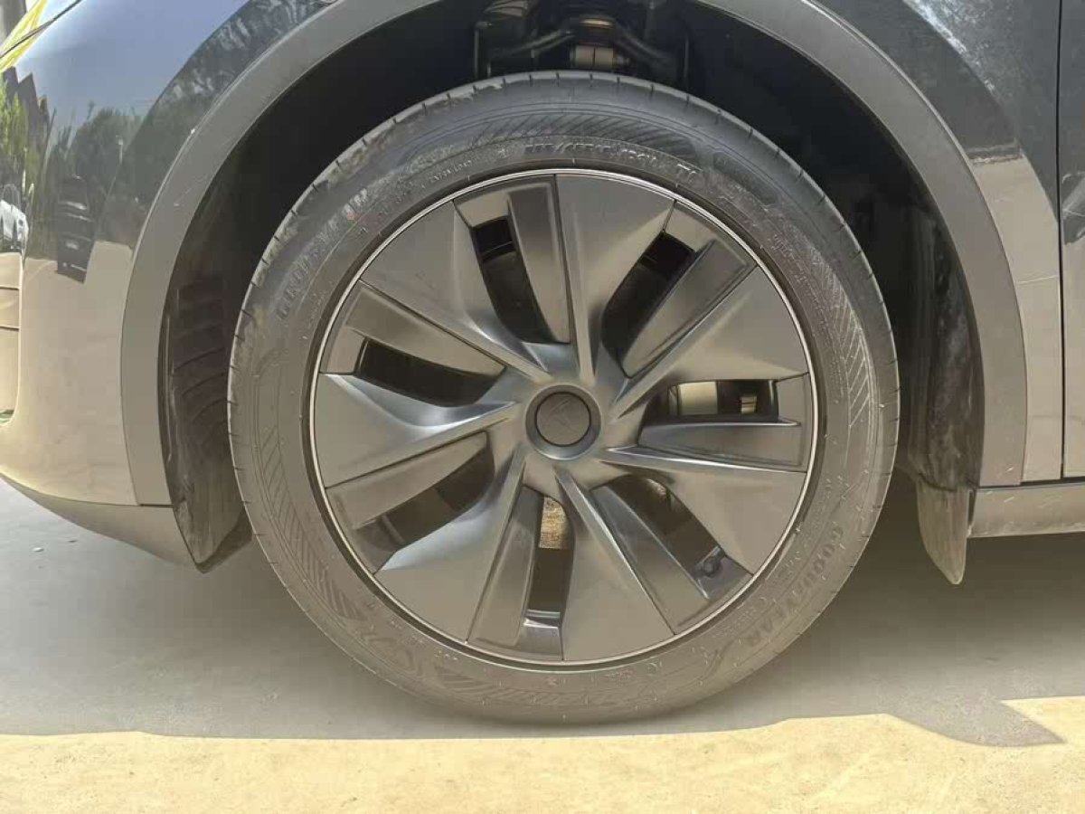 特斯拉 Model Y  2024款 后輪驅(qū)動版圖片