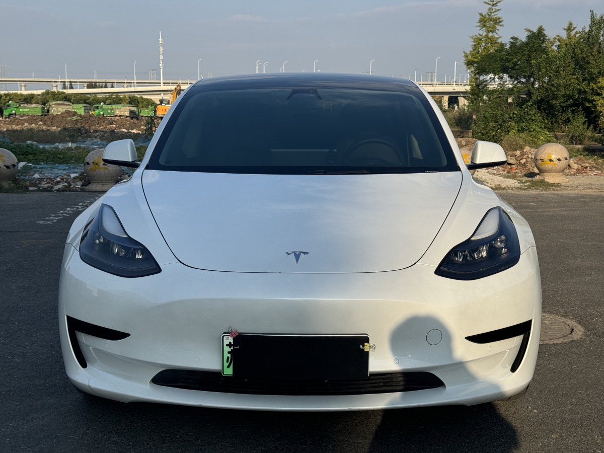 2021年3月特斯拉 Model Y  2021款 標(biāo)準(zhǔn)續(xù)航后驅(qū)升級版 3D6