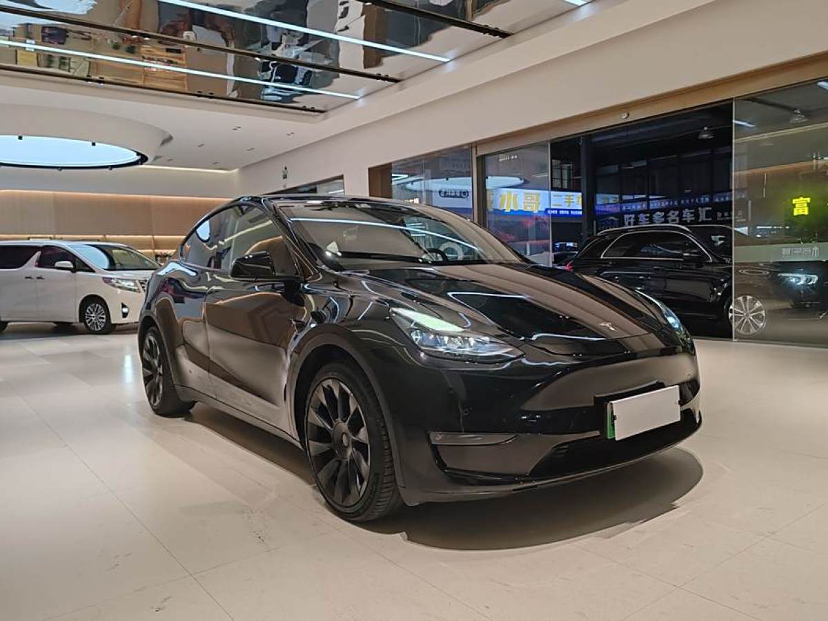 特斯拉 Model Y  2021款 改款 標(biāo)準(zhǔn)續(xù)航后驅(qū)升級(jí)版圖片