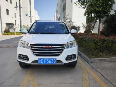 2018年1月 哈弗 H6 紅標(biāo)H6 COUPE 1.5T DCT兩驅(qū)豪華型圖片