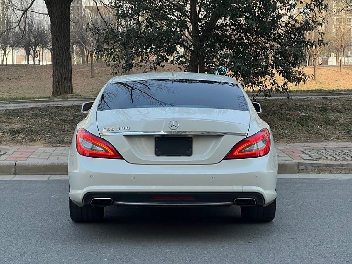 奔馳 奔馳CLS級  2012款 CLS 300 CGI圖片