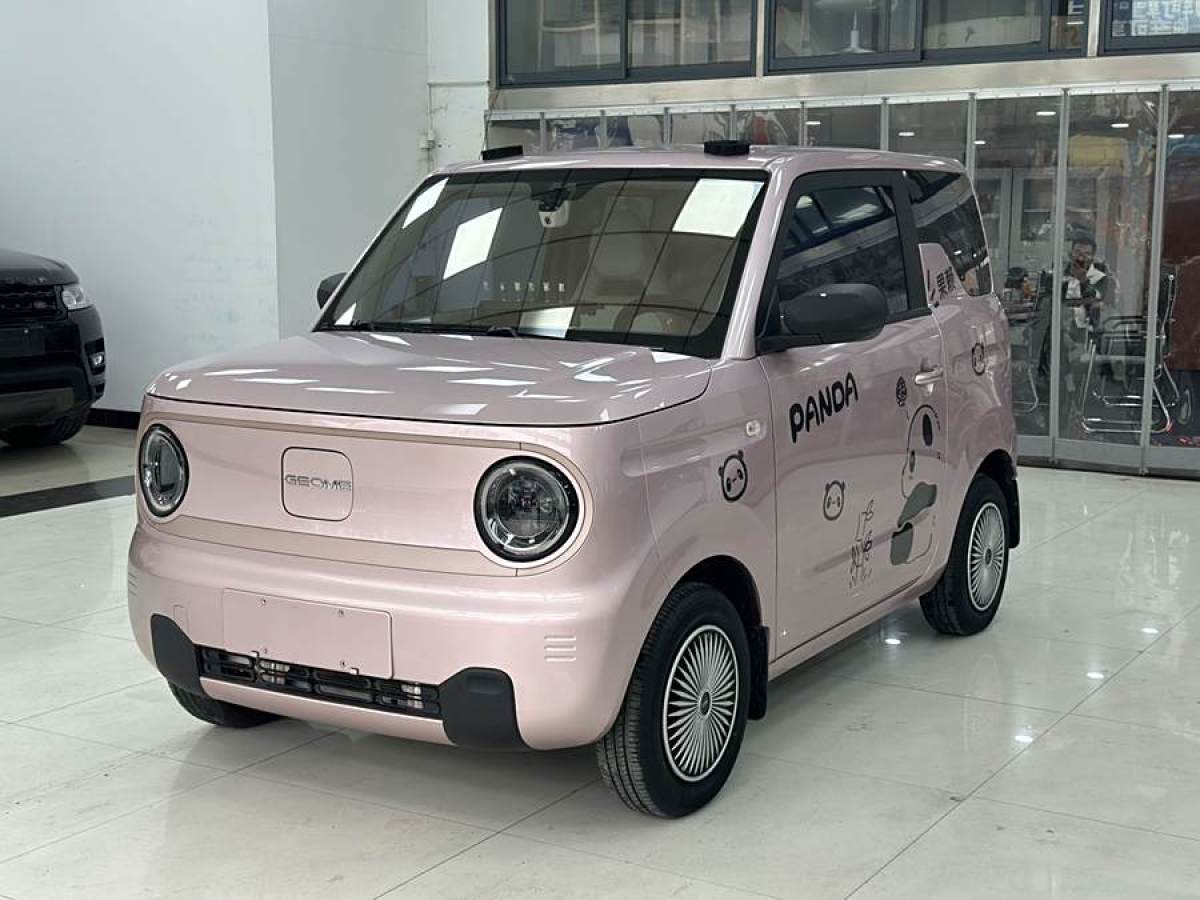 2023年7月吉利 熊貓mini  2023款 200km 靈動(dòng)熊