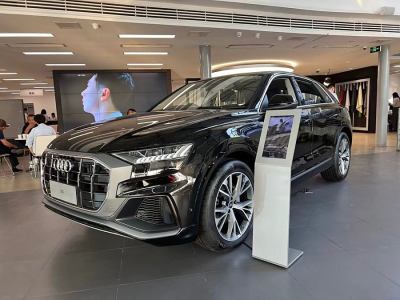 2024年9月 奧迪 奧迪Q8(進口) 55 TFSI 豪華動感型圖片