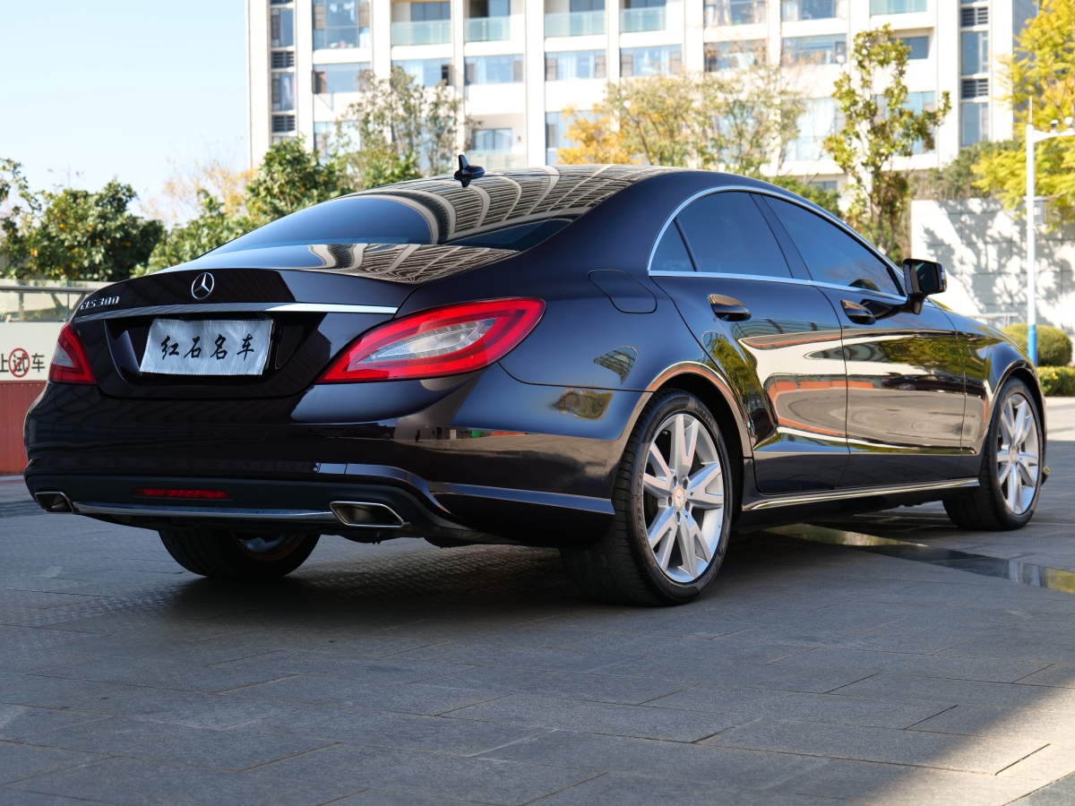 奔馳 奔馳CLS級  2012款 CLS 300 CGI圖片