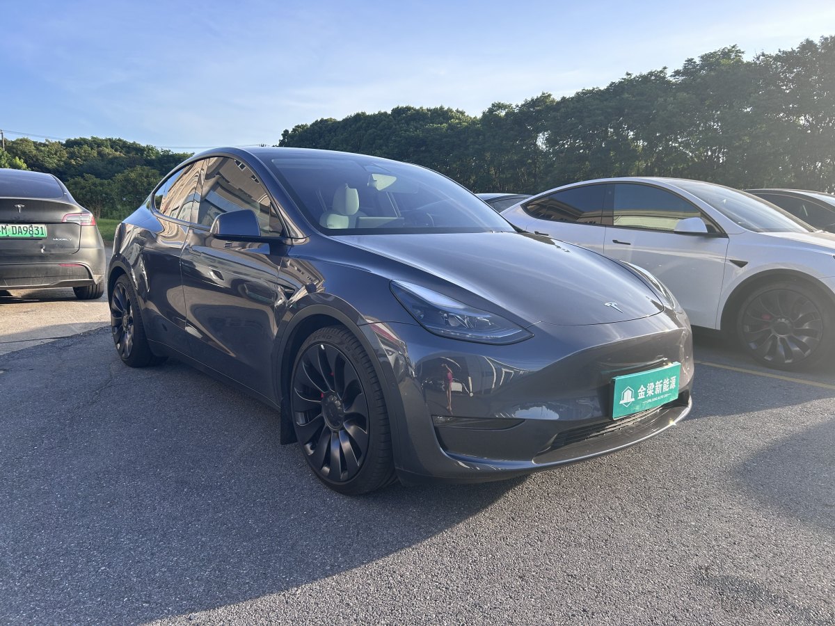 特斯拉 Model Y  2022款 Performance高性能全轮驱动版图片