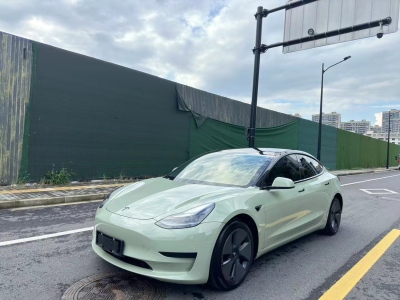 2021年3月 特斯拉 Model 3 長續(xù)航全輪驅動版圖片