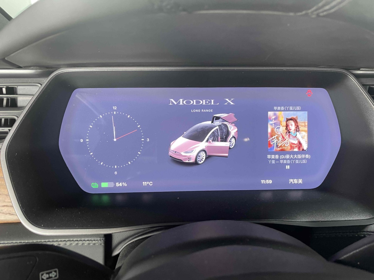 特斯拉 Model X  2019款 長續(xù)航版圖片