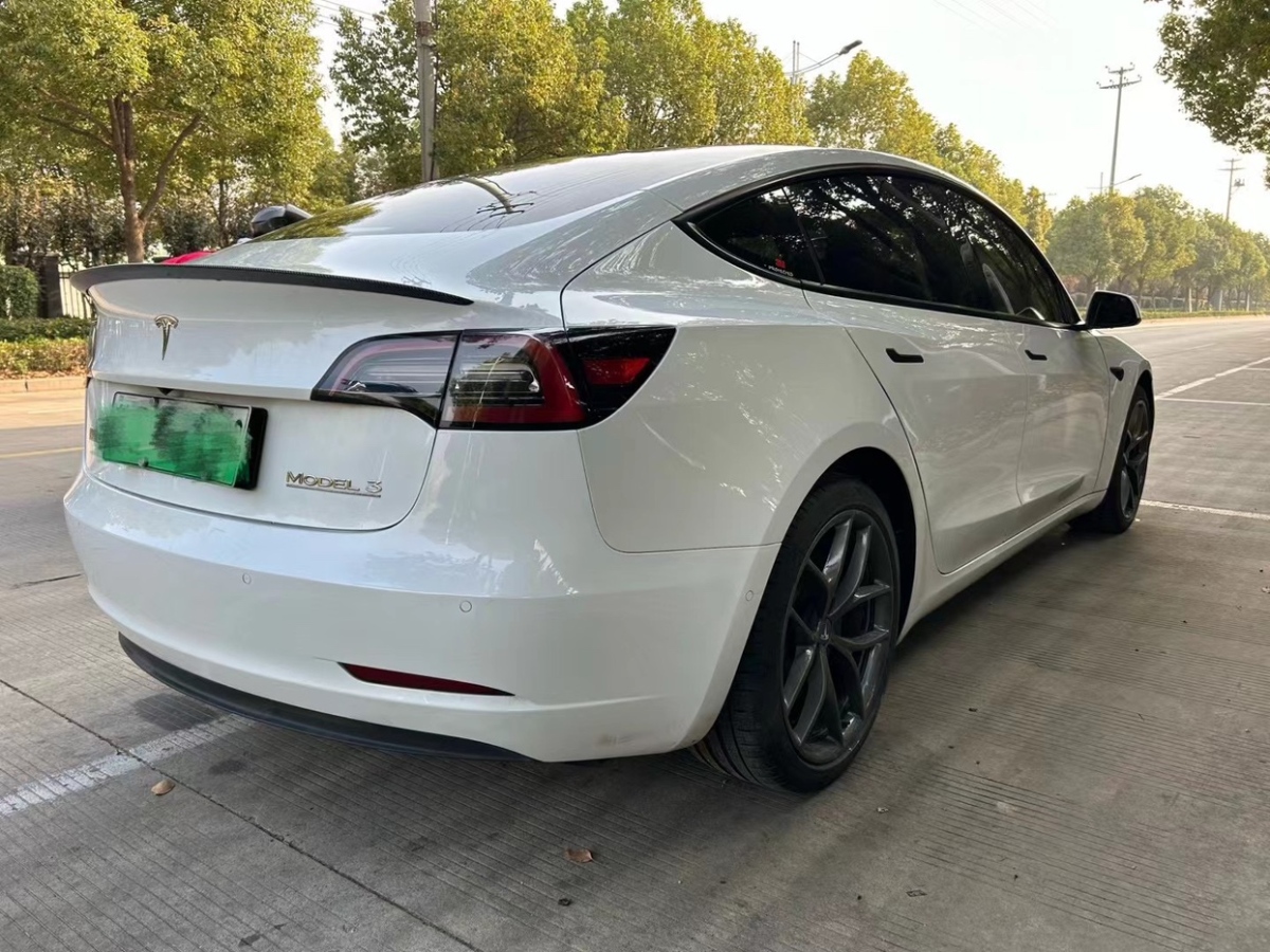 特斯拉 Model 3  2022款 Performance高性能全輪驅(qū)動(dòng)版圖片