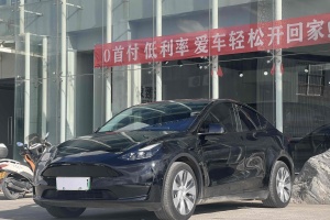 Model Y 特斯拉 后轮驱动版