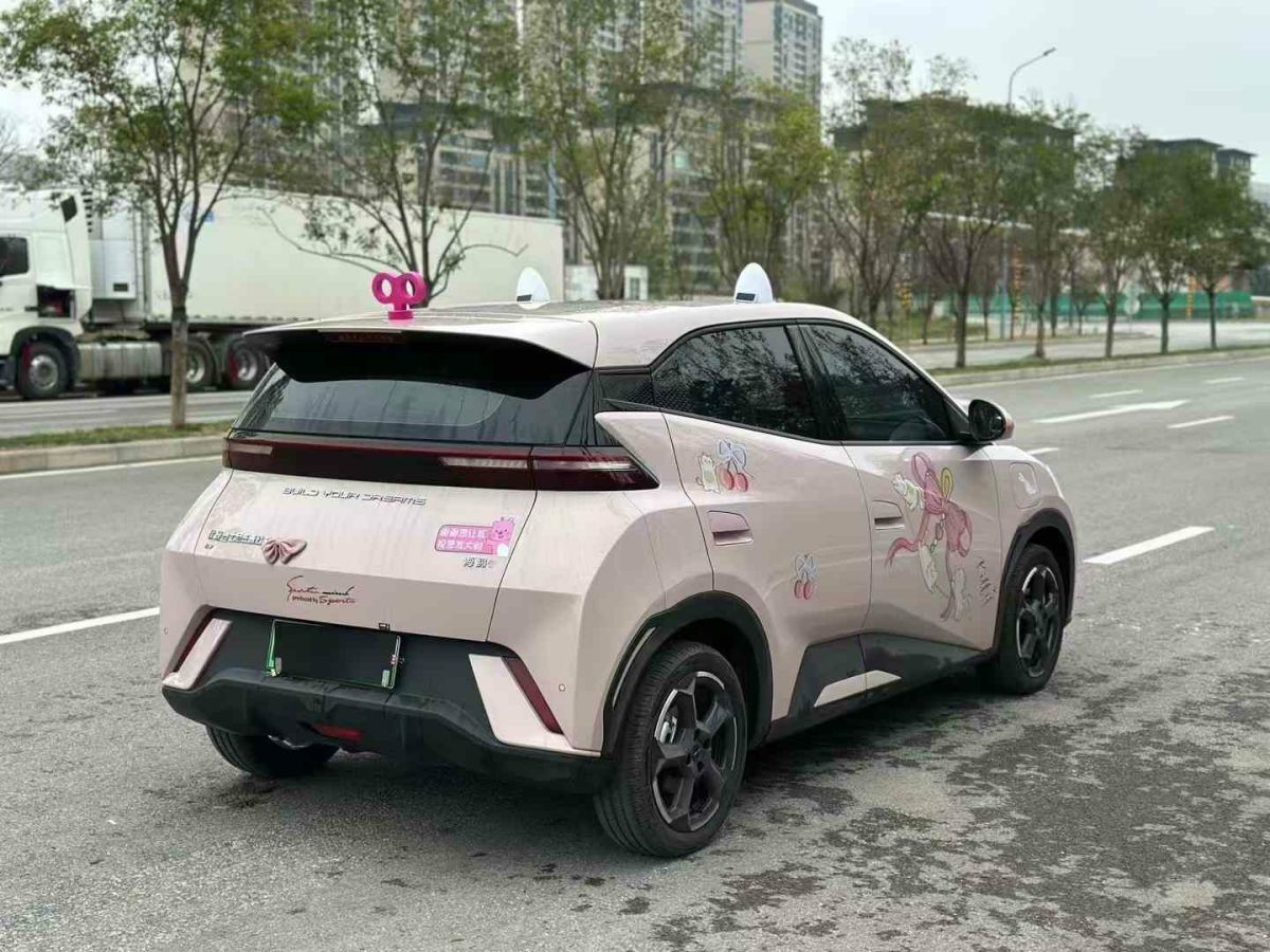 比亞迪 宋L  2024款 550km 卓越型圖片