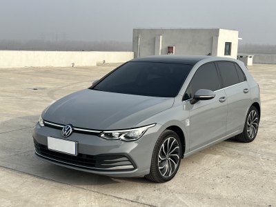 2022年1月 大眾 高爾夫 280TSI DSG 30周年紀(jì)念版圖片