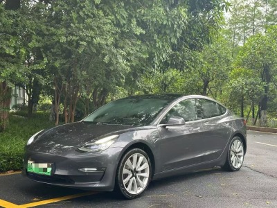 2020年1月 特斯拉 Model 3 標準續(xù)航后驅(qū)升級版圖片