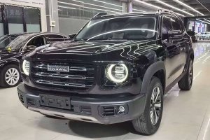 哈弗大狗 哈弗 1.5T DCT邊牧版
