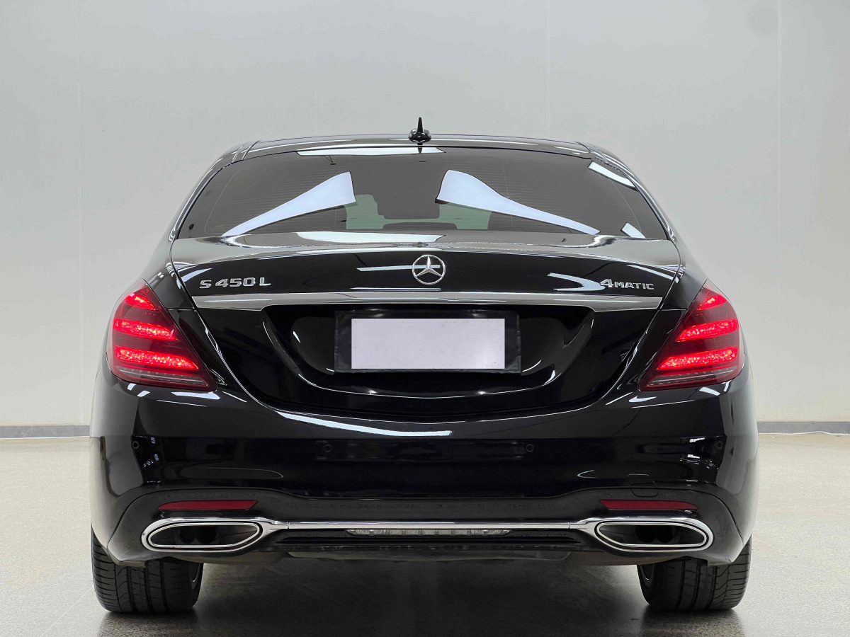 奔馳 奔馳S級  2019款 S 450 L 4MATIC 臻藏版圖片