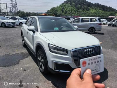 2019年1月 奧迪 Q2L e-tron e-tron 純電智享型圖片