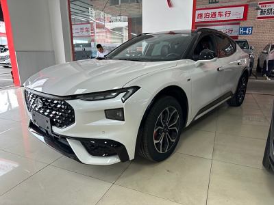 2021年12月 福特 EVOS EcoBoost 245 风尚版图片