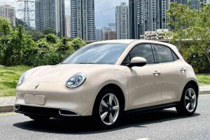 歐拉好貓 歐拉 400km標(biāo)準(zhǔn)續(xù)航 豪華型 磷酸鐵鋰