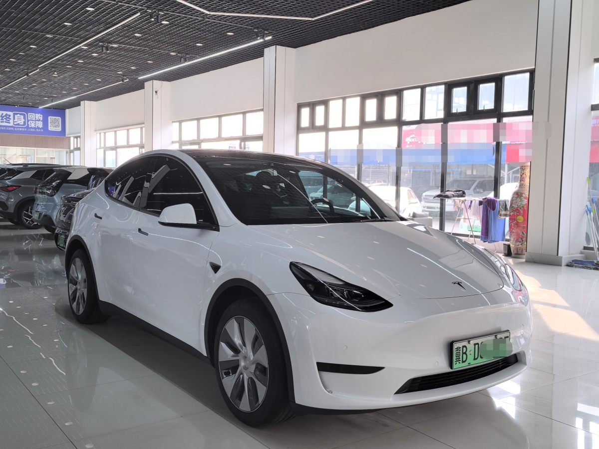 特斯拉 Model 3  2020款 改款 長續(xù)航后輪驅(qū)動版圖片