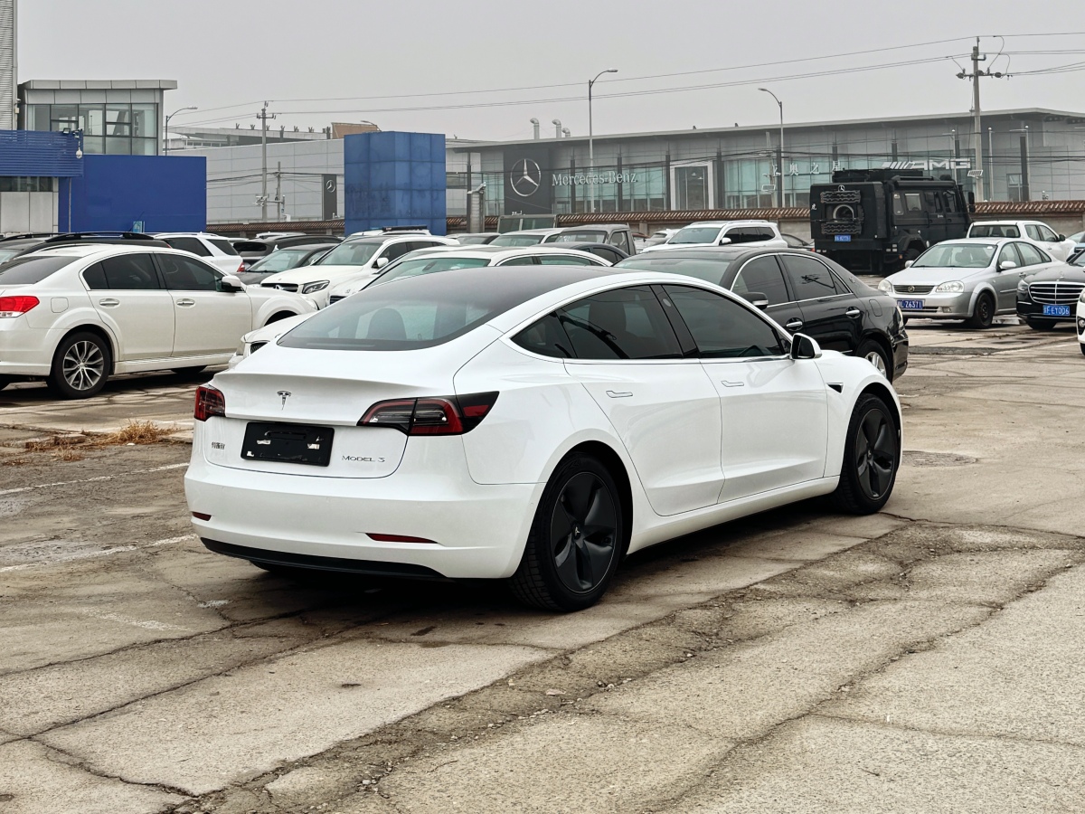 特斯拉 Model 3  2019款 標(biāo)準(zhǔn)續(xù)航后驅(qū)升級版圖片