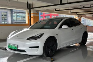 Model 3 特斯拉 標(biāo)準(zhǔn)續(xù)航后驅(qū)升級(jí)版