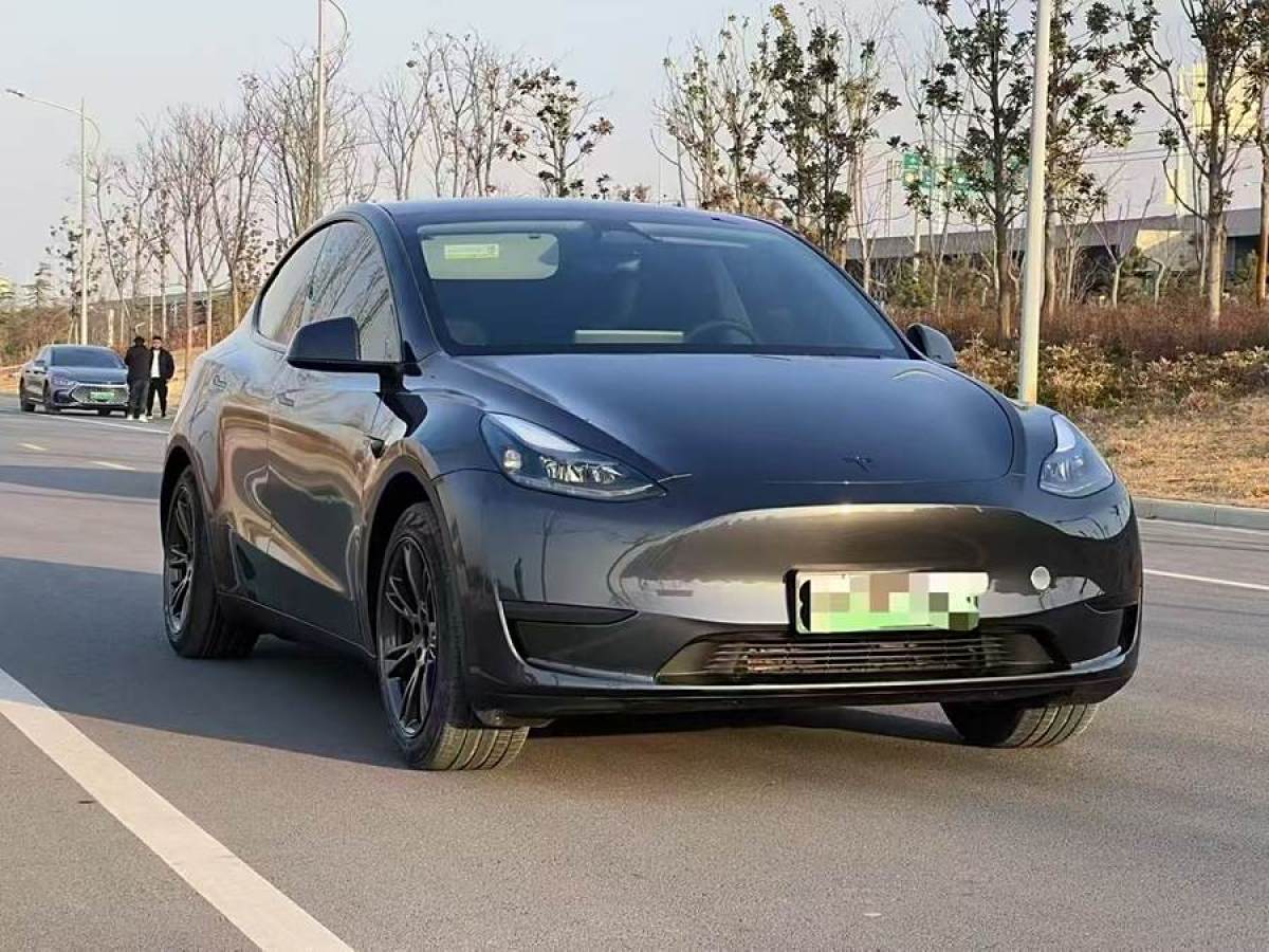 特斯拉 Model 3  2020款 改款 長續(xù)航后輪驅(qū)動版圖片