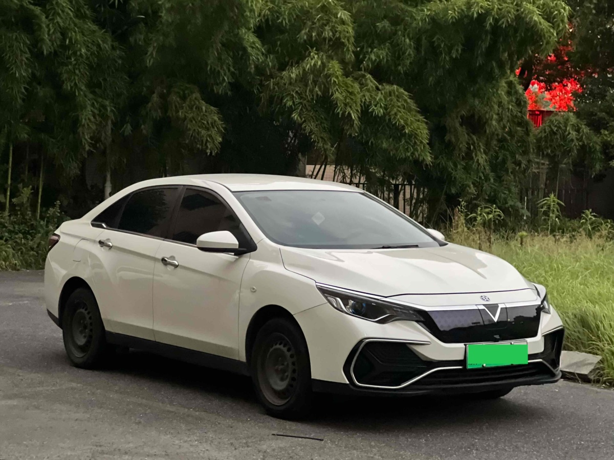 啟辰 D60EV  2020款 標(biāo)準(zhǔn)續(xù)航智行版圖片