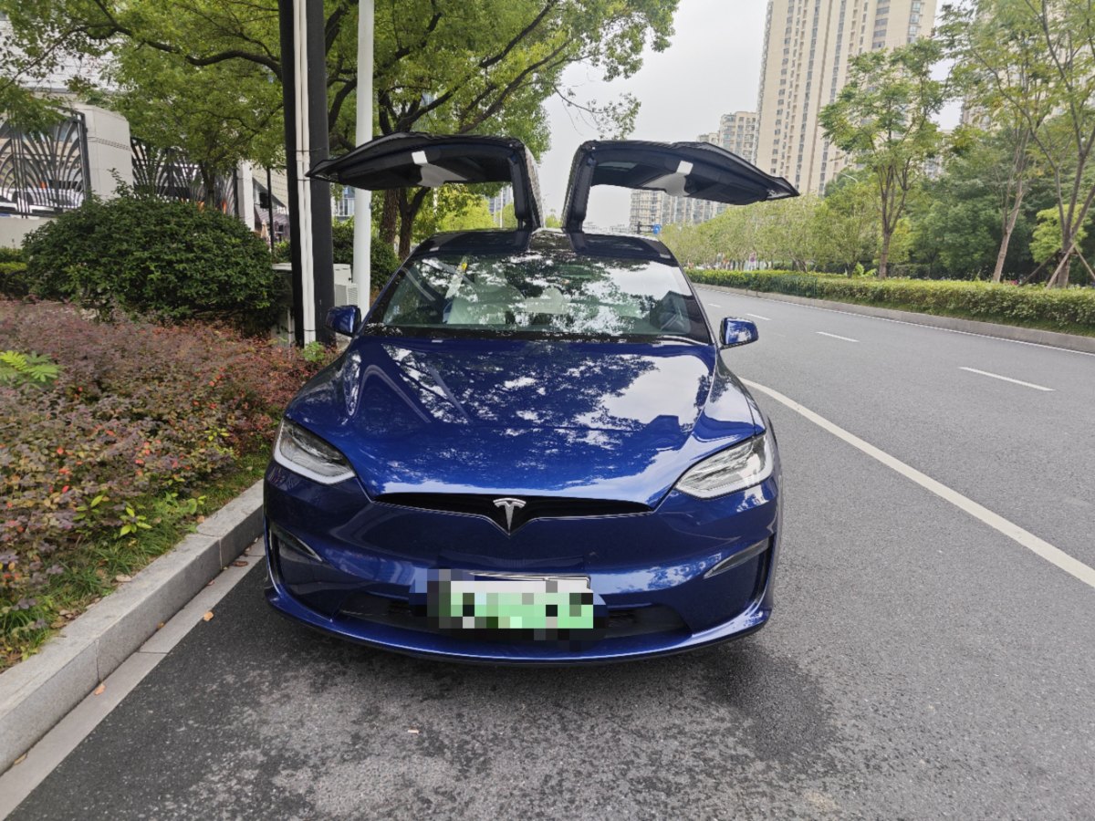 特斯拉 Model X  2023款 雙電機(jī)全輪驅(qū)動(dòng)版圖片