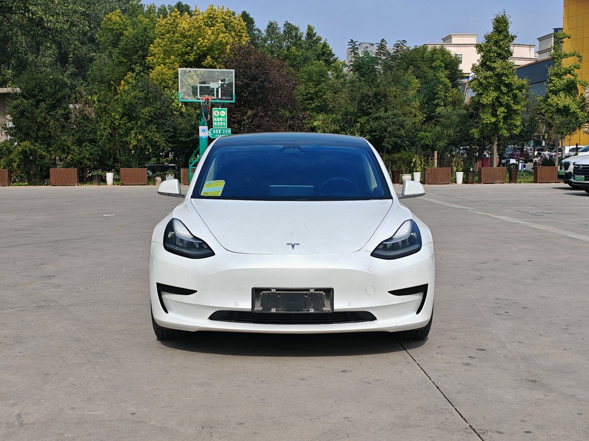 特斯拉 Model Y  2020款 改款 標(biāo)準(zhǔn)續(xù)航后驅(qū)升級版圖片