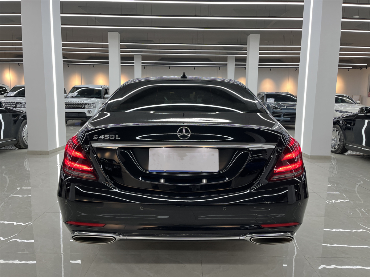 奔馳 奔馳S級(jí)  2019款 S 350 L 豪華型圖片