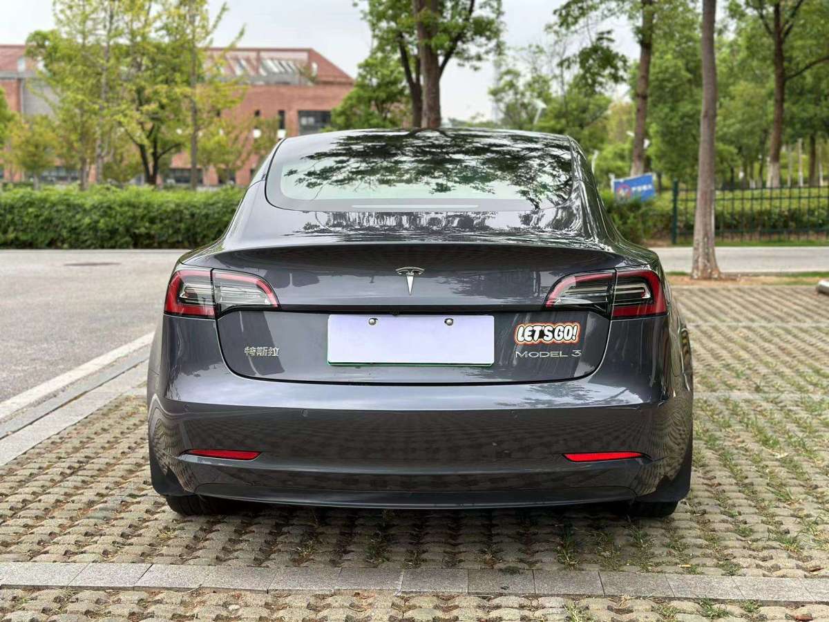 特斯拉 Model 3  2021款 标准续航后驱版图片