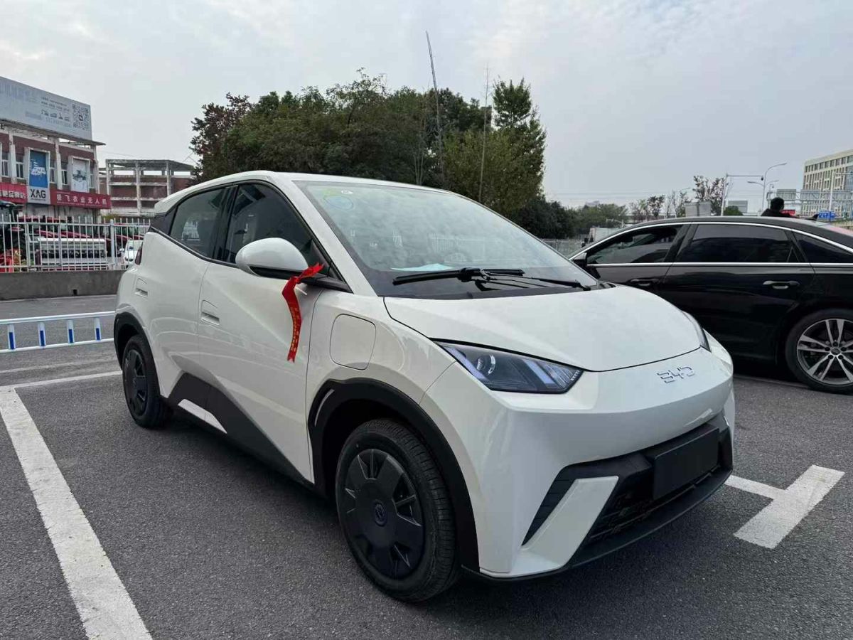 比亞迪 宋L DM-i  2024款 112km 超越型圖片