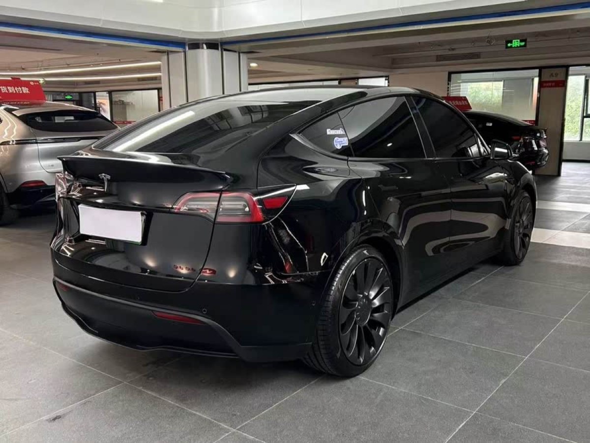 特斯拉 Model Y  2022款 Performance高性能全輪驅(qū)動版圖片