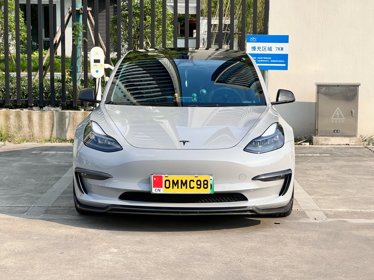 特斯拉 Model 3  2019款 Performance高性能全輪驅(qū)動版圖片