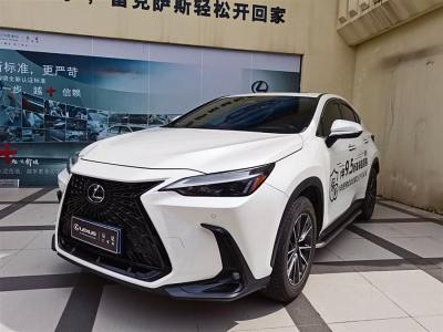 2023年10月 雷克萨斯 NX 260 前驱 创悦版图片