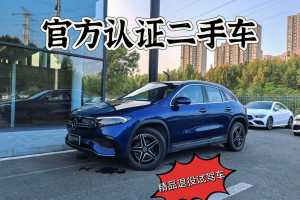 奔驰EQA 奔驰 EQA 300 4MATIC 首发特别版