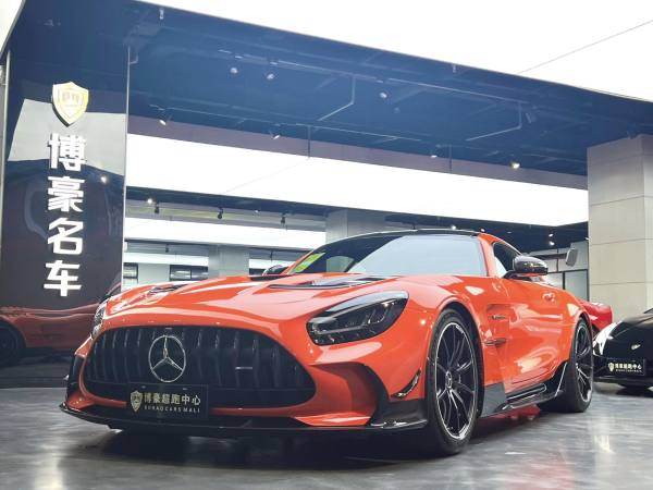 奔驰 奔驰AMG GT  2021款 AMG GT Black Series